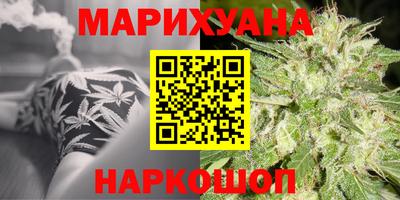 индика Рыбинск
