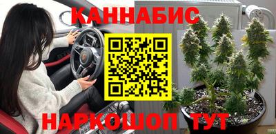 индика Рыбинск