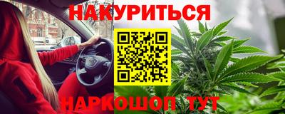 индика Рыбинск